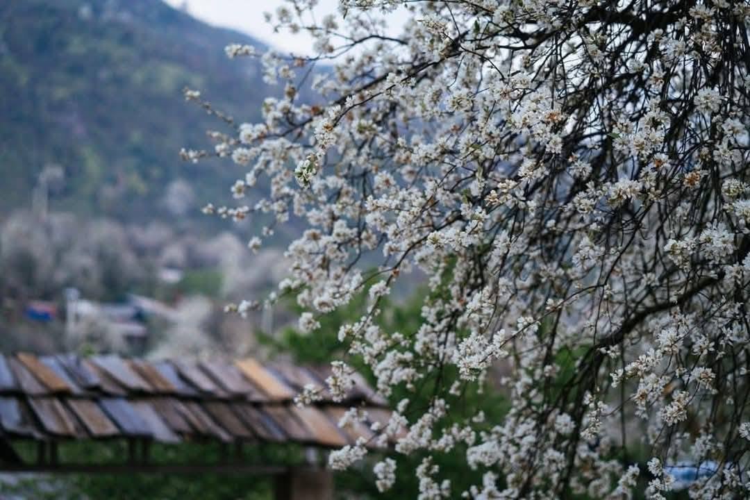 4-Day Cycling Tour: Hanoi to Ngoc Chien & Nam Nghep